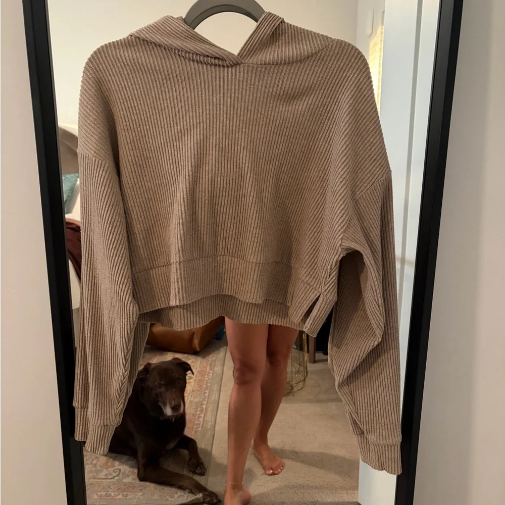 Women’s Hooded Rib-Knit Cropped Sweater in Taupe